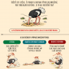 factchecking10_pstros